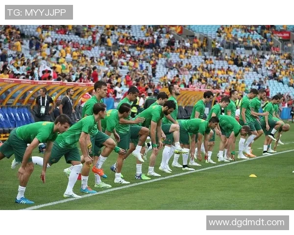 加纳足球明星崛起之路：从草根到国际舞台的荣耀与挑战